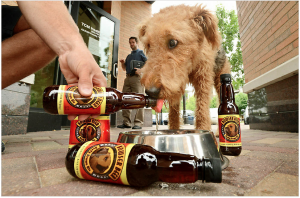 beers for dog