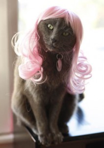kitty wigs
