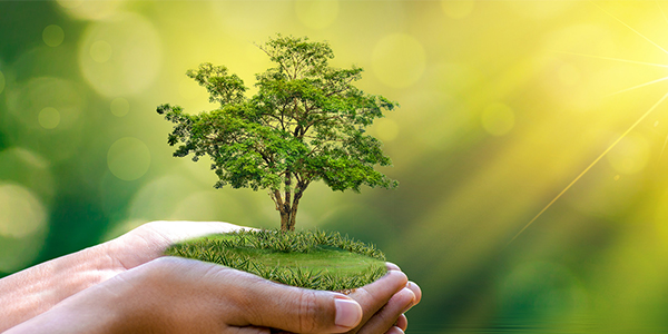 10 inventions you can buy to save the planet